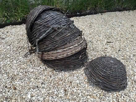 Photo of free Hanging Baskets (Vale of White Horse SN7) #1