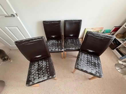 Photo of free Dining chairs (North Hinksey OX2) #3