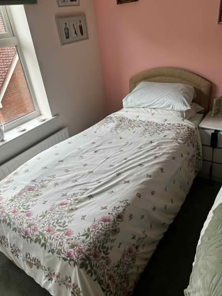 Photo of free Electric single bed (Cawston CV22) #3