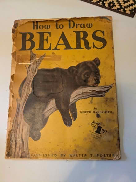 Photo of free How to draw bears (Addlestone KT15) #1