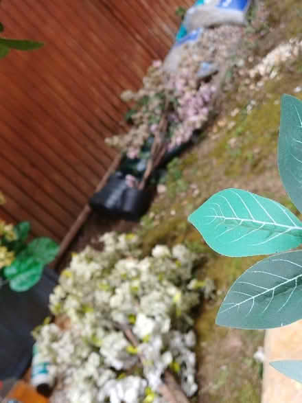 Photo of free Artificial shrubs (Chineham RG24) #3