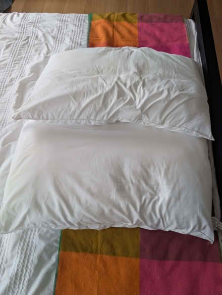 Photo of free 2 Firm, Clean Pillows (Wokingham RG40) #2