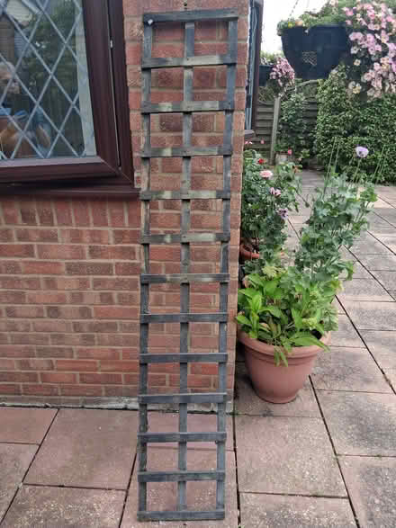 Photo of free Trellis (Tiptree CO5) #1
