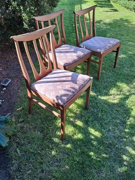 Photo of free Three dining chairs (Bexley DA5) #1