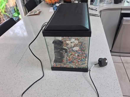Photo of free Small fish tank (Ash Green, GU12) #3