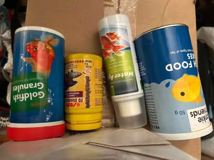 Photo of free Acrylic & small fish tank (Inner West) #1
