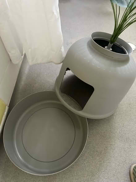 Photo of free Cat litter box pot plant (LU5 5HX) #2