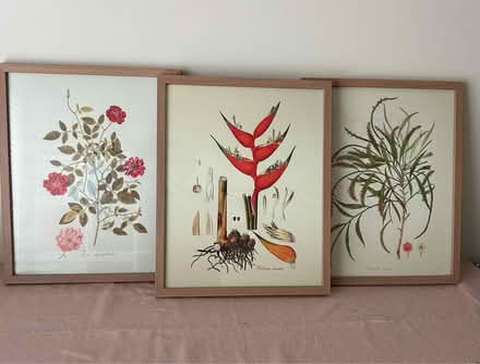 Photo of free Pictures (Chelsea Heights) #1