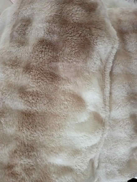 Photo of free Soft fleece blanket (Barnet EN5) #1