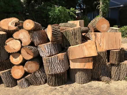 Photo of free Modesto Ash Fire Wood (703 Flint Way, Sacto, 95818) #4