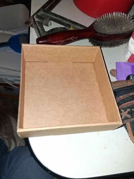 Photo of free Small cardboard trays (Montgomery il) #2
