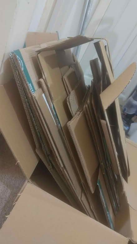 Photo of free Selection of cardboard boxes (SM1) #2