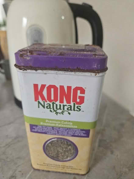 Photo of free Kong (Oxford OX4) #1