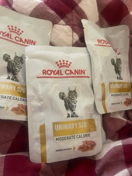 Photo of free Royal canin Urinary S/O cat food (N19) #1
