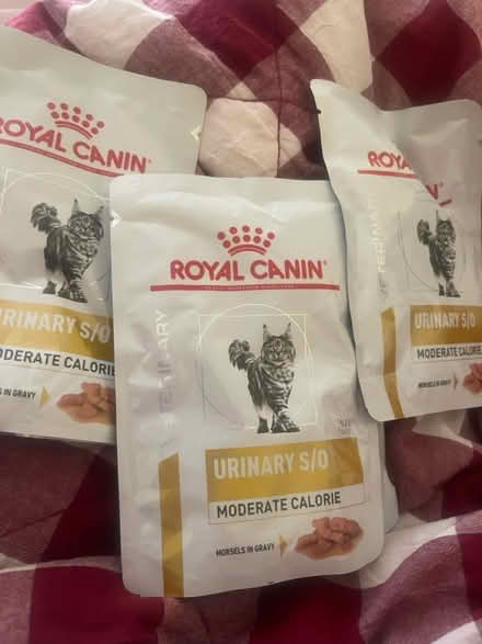 Photo of free Royal canin Urinary S/O cat food (N19) #2