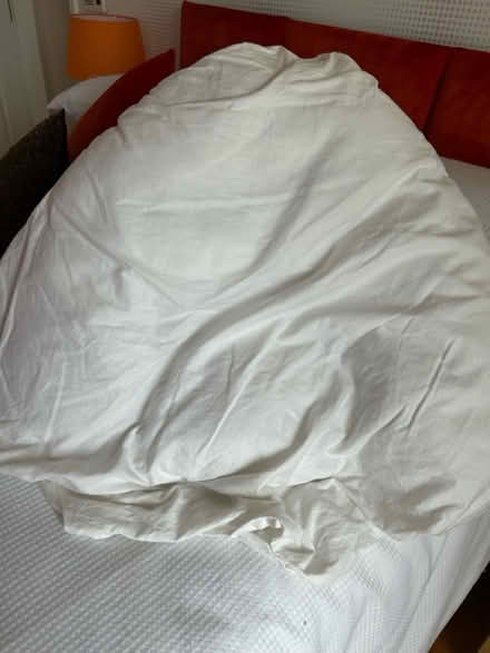 Photo of free V pillow (Buckshaw Village PR7) #1