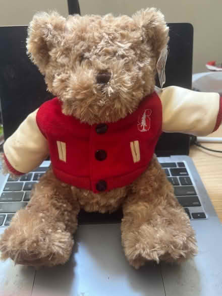 Photo of free Stanford teddy bear (Redmond) #1