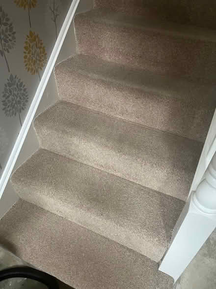 Photo of free Stairway carpet (Sn126qs) #2