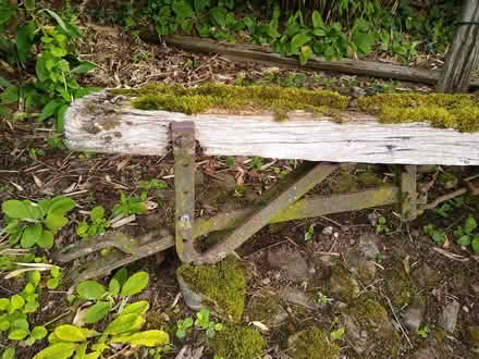 Photo of free (Old) Bamford mower (Cleedownton SY8) #4