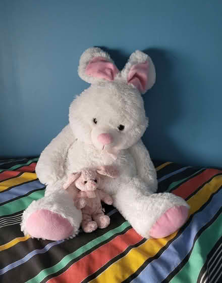 Photo of free Cuddly Toy rabbit (Northwood HA6) #1