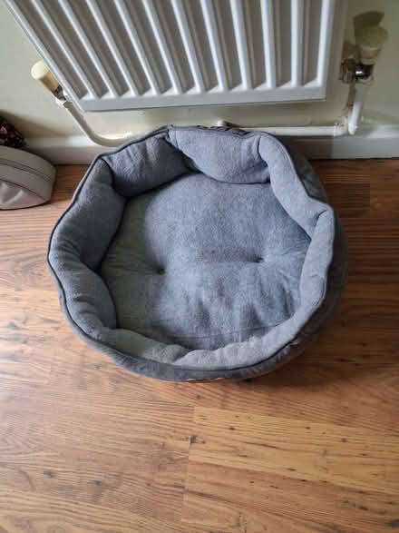 Photo of free Cat basket (Brownsover CV21) #1
