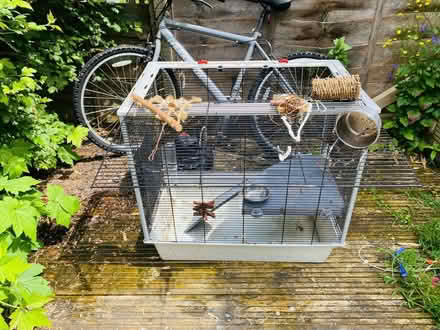 Photo of free Rat cage for 2 (Woodstock OX20) #1