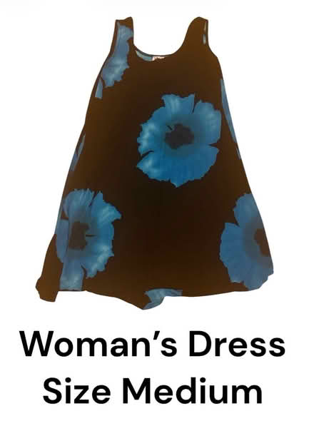Photo of free Woman’s Dress (Brooklyn Storage) #1