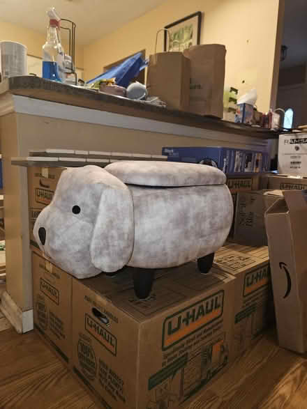 Photo of free Child's Storage Ottoman (Camelot Park) #1