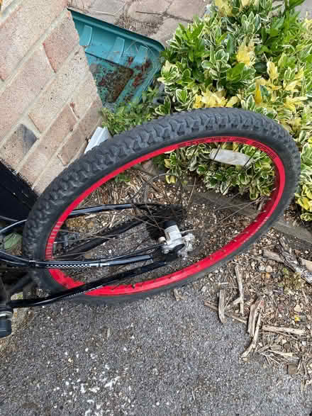 Photo of free Red bike (Havant PO9) #4