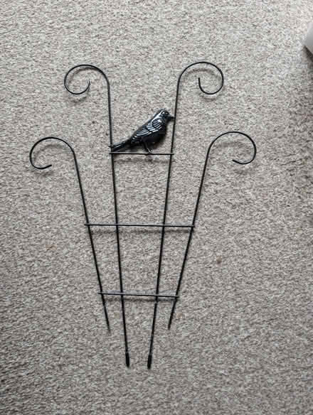 Photo of free Plant frame for climbing plants (Abingdon, OX14 3TD) #1