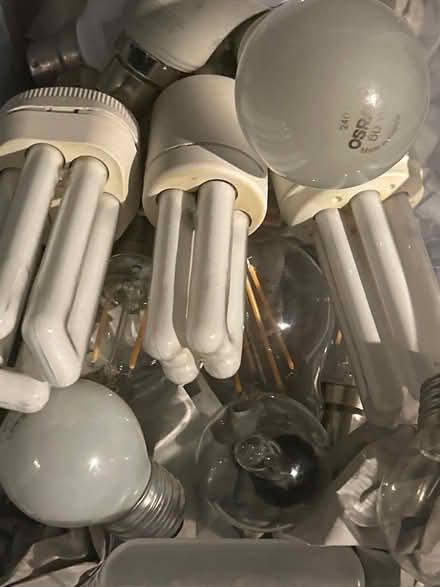 Photo of Light bulbs (Tavistock PL19) #1