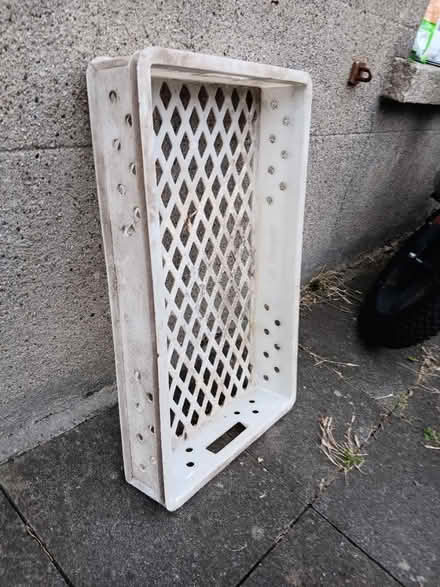 Photo of free Plastic tray (Rathmines/Ranelagh) #1