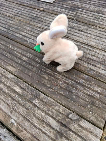 Photo of free Rabbit battery operated (Woodstock OX20) #2