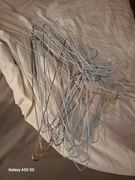 Photo of free Clothes hangers (Hanworth TW13) #2