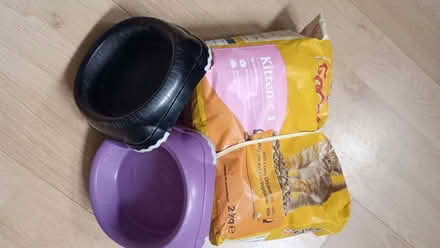 Photo of free kitten food and dishes (Chapeltown LS7) #1