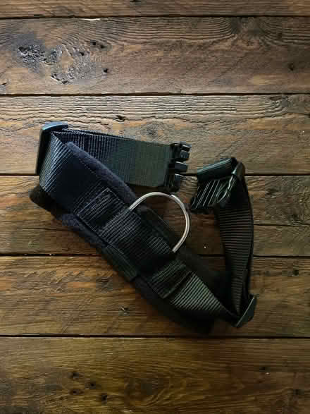 Photo of free Perfect Fit dog harness girth piece (Haslingfield) #1