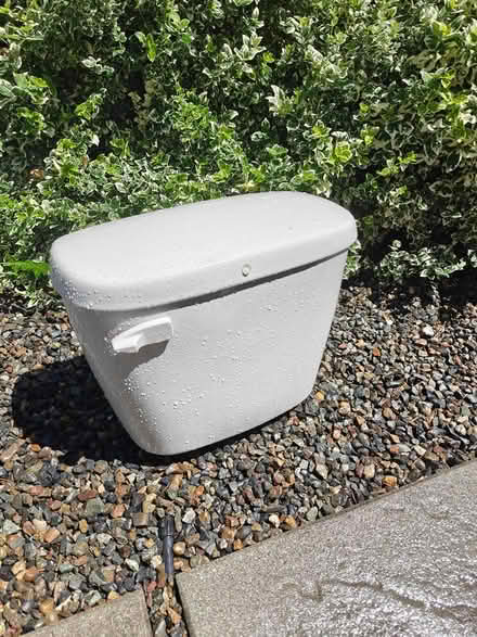 Photo of free Gerber Round Toilet + Tank + Seat (Eastlake) #3