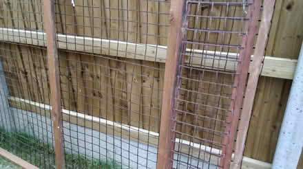 Photo of free Large enclosure (West Row IP28) #4