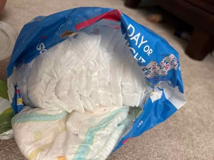 Photo of free Large size diaper and wipes (Near Centennial lane) #2