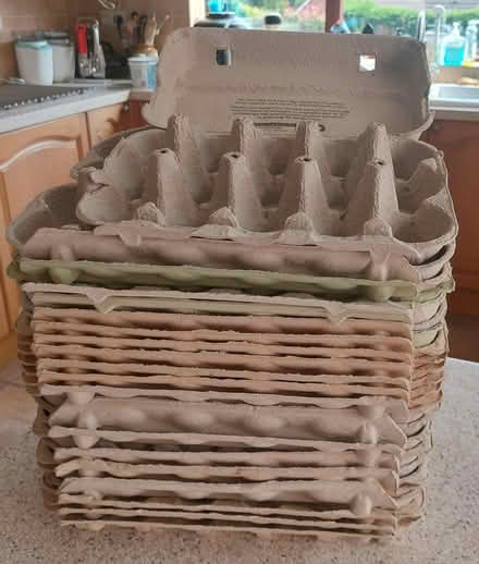 Photo of free Egg boxes (Whittington SY11) #1