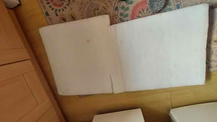 Photo of free Kapok (?) pad (west malvern) #3