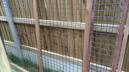 Photo of free Large enclosure (West Row IP28) #3