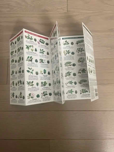 Photo of free Laminated trees guide (Kennedy/16th in Markham) #2