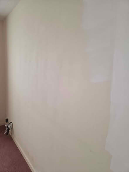 Photo of White Emulsion (Carterton OX18) #1
