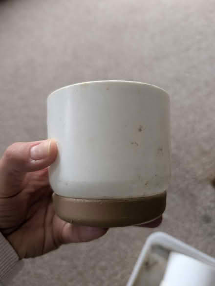 Photo of free Small pot plants (Abingdon, OX14 3TD) #2