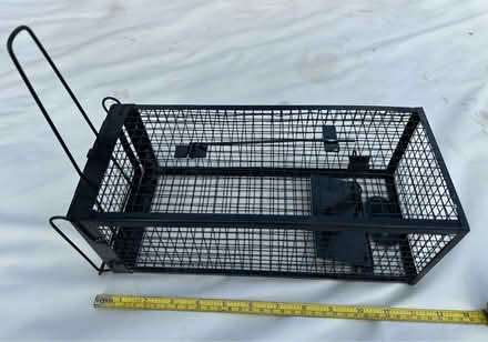 Photo of free Animal Trap (Parkstone BH14) #1