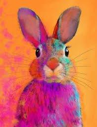 Photo of Rabbit hutch (Larbert FK5) #1