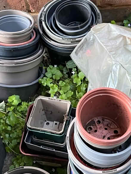 Photo of free Plastic plant pots (Rickmansworth WD3) #1
