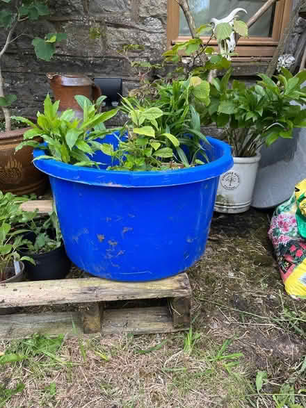 Photo of Large plastic containers for garden move (Shap CA10) #1