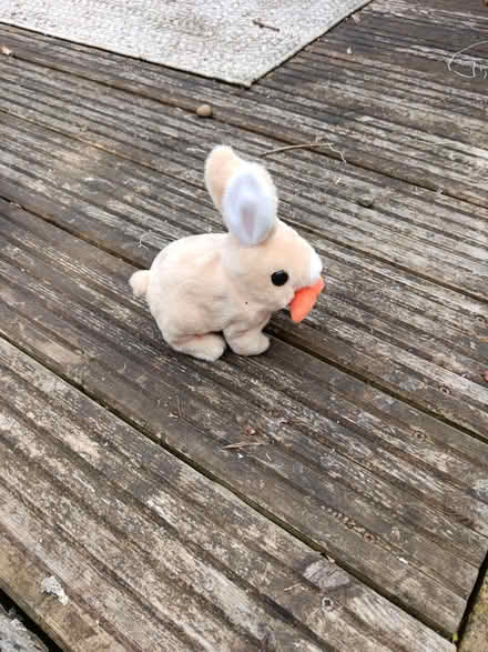 Photo of free Rabbit battery operated (Woodstock OX20) #1